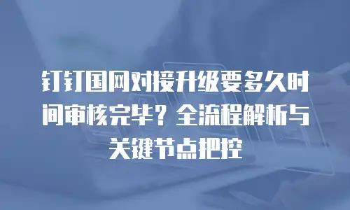 钉钉国网对接升级要多久时间审核完毕？全流程解析与关键节点把控
