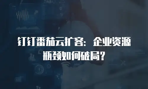 钉钉番茄云扩容：企业资源瓶颈如何破局？