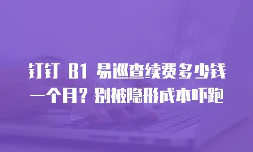 钉钉 B1 易巡查续费多少钱一个月？别被隐形成本吓跑