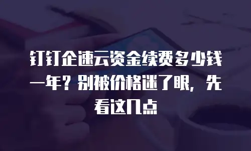 钉钉企速云资金续费多少钱一年？别被价格迷了眼，先看这几点