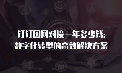 钉钉国网对接一年多少钱：数字化转型的高效解决方案