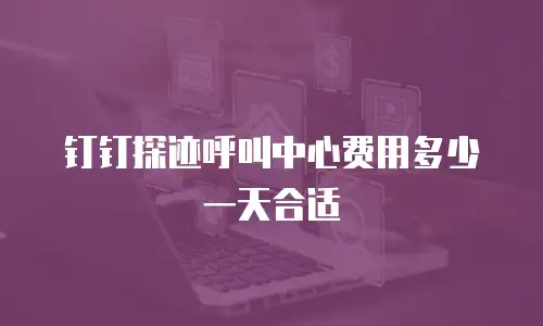 钉钉探迹呼叫中心费用多少一天合适