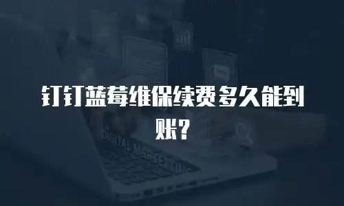 钉钉蓝莓维保续费多久能到账？