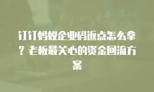 钉钉蚂蚁企业码返点怎么拿？老板最关心的资金回流方案