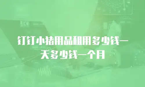 钉钉小猪用品租用多少钱一天多少钱一个月