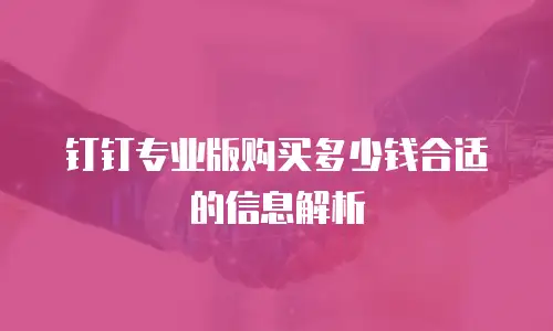 钉钉专业版购买多少钱合适的信息解析