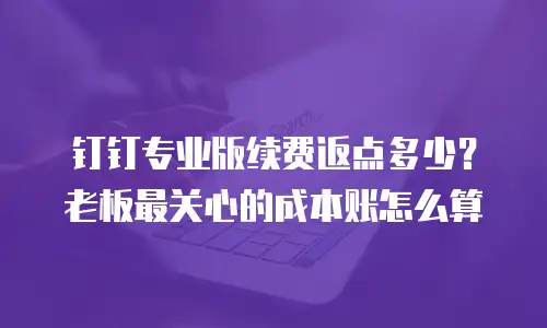 钉钉专业版续费返点多少？老板最关心的成本账怎么算