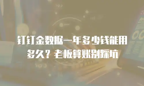 钉钉金数据一年多少钱能用多久？老板算账别踩坑