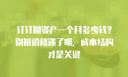 钉钉圆资产一个月多少钱？别被价格迷了眼，成本结构才是关键