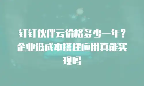 钉钉伙伴云价格多少一年？企业低成本搭建应用真能实现吗