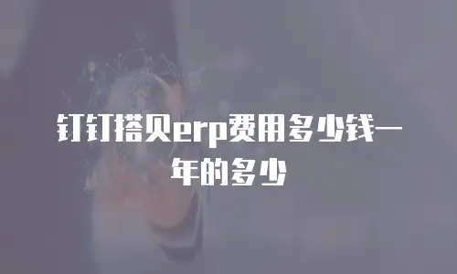 钉钉搭贝erp费用多少钱一年的多少