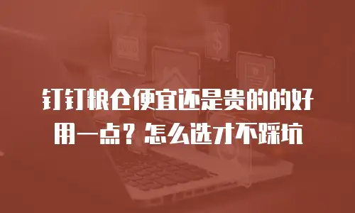 钉钉粮仓便宜还是贵的的好用一点？怎么选才不踩坑