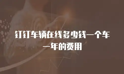 钉钉车辆在线多少钱一个车一年的费用