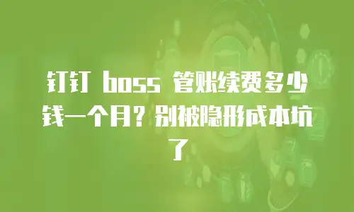 钉钉 boss 管账续费多少钱一个月？别被隐形成本坑了