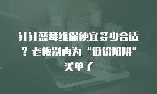 钉钉蓝莓维保便宜多少合适？老板别再为&ldquo;低价陷阱&rdquo;买单了