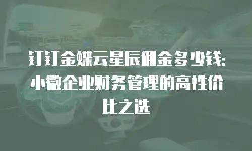 钉钉金蝶云星辰佣金多少钱：小微企业财务管理的高性价比之选