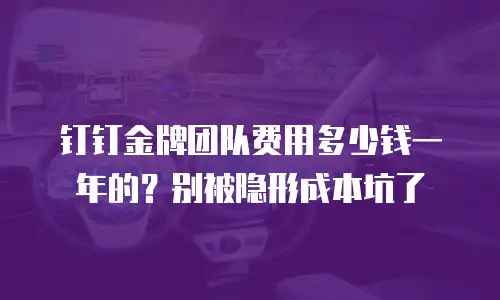 钉钉金牌团队费用多少钱一年的？别被隐形成本坑了