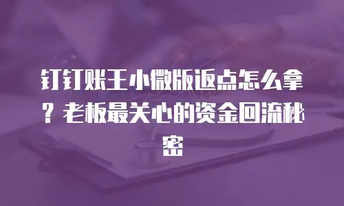 钉钉账王小微版返点怎么拿？老板最关心的资金回流秘密