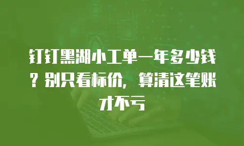 钉钉黑湖小工单一年多少钱？别只看标价，算清这笔账才不亏