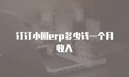 钉钉小圈erp多少钱一个月收入
