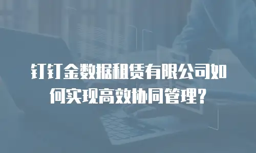 钉钉金数据租赁有限公司如何实现高效协同管理？