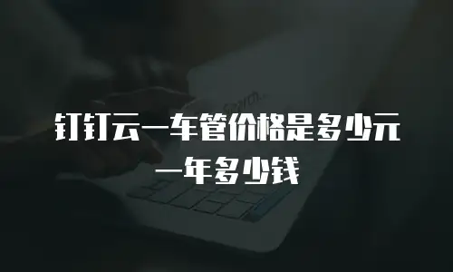 钉钉云一车管价格是多少元一年多少钱