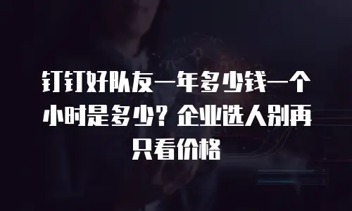 钉钉好队友一年多少钱一个小时是多少？企业选人别再只看价格