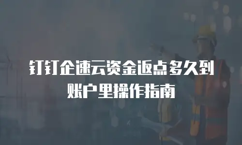 钉钉企速云资金返点多久到账户里操作指南