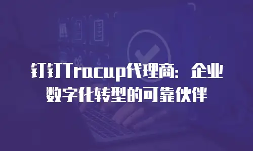 钉钉Tracup代理商：企业数字化转型的可靠伙伴