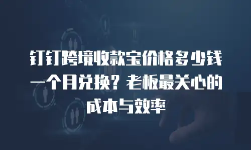 钉钉跨境收款宝价格多少钱一个月兑换？老板最关心的成本与效率