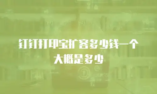 钉钉打印宝扩容多少钱一个大概是多少
