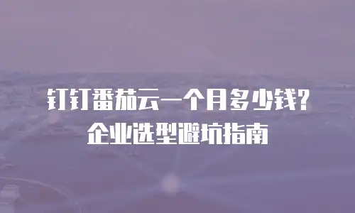 钉钉番茄云一个月多少钱？企业选型避坑指南