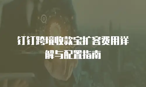 钉钉跨境收款宝扩容费用详解与配置指南