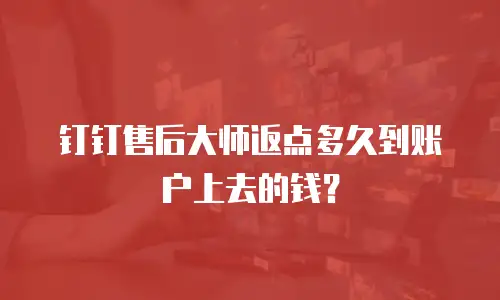 钉钉售后大师返点多久到账户上去的钱？