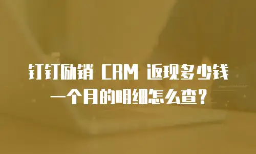 钉钉励销 CRM 返现多少钱一个月的明细怎么查？