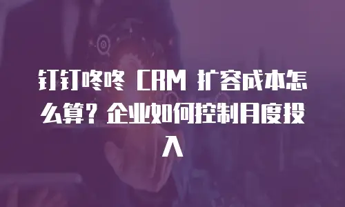 钉钉咚咚 CRM 扩容成本怎么算？企业如何控制月度投入