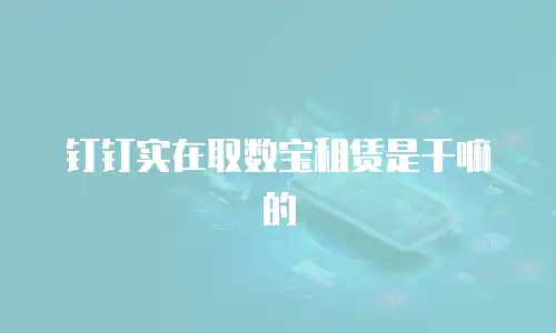 钉钉实在取数宝租赁是干嘛的