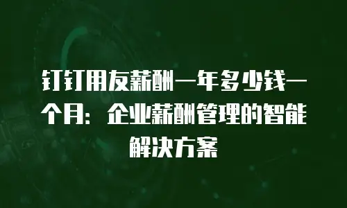 钉钉用友薪酬一年多少钱一个月：企业薪酬管理的智能解决方案