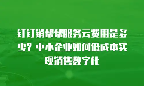 钉钉销帮帮服务云费用是多少？中小企业如何低成本实现销售数字化