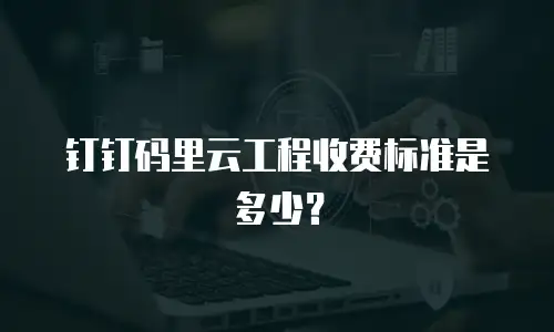 钉钉码里云工程收费标准是多少？