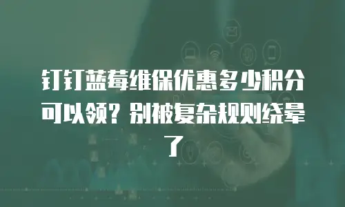 钉钉蓝莓维保优惠多少积分可以领？别被复杂规则绕晕了