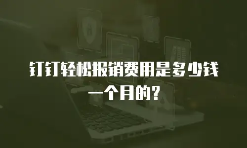 钉钉轻松报销费用是多少钱一个月的？