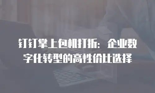 钉钉掌上包机打折：企业数字化转型的高性价比选择