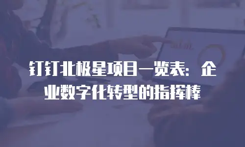 钉钉北极星项目一览表：企业数字化转型的指挥棒