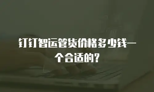 钉钉智运管货价格多少钱一个合适的？