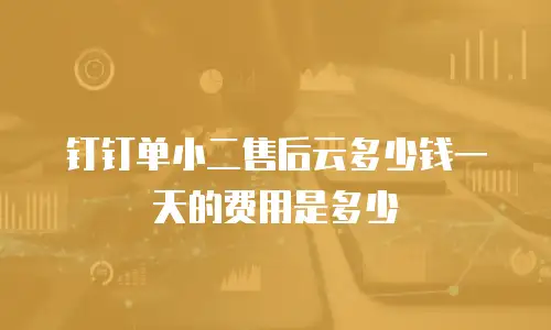 钉钉单小二售后云多少钱一天的费用是多少