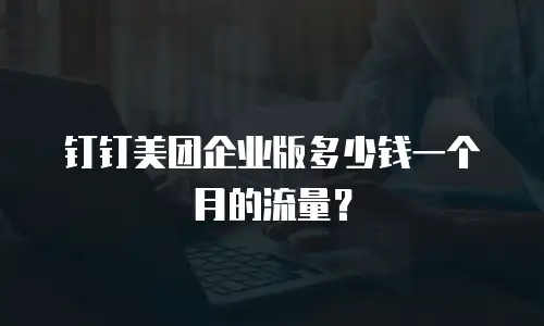 钉钉美团企业版多少钱一个月的流量？