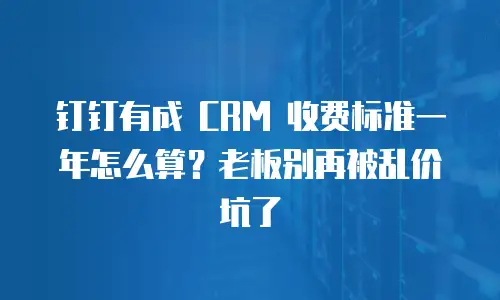钉钉有成 CRM 收费标准一年怎么算？老板别再被乱价坑了
