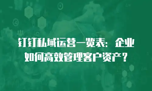 钉钉私域运营一览表：企业如何高效管理客户资产？
