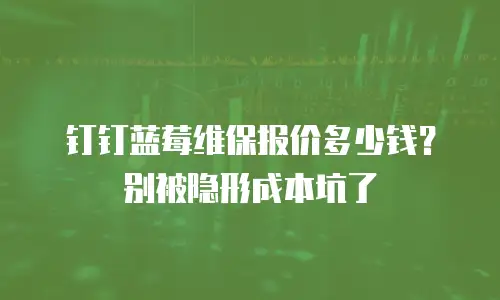 钉钉蓝莓维保报价多少钱？别被隐形成本坑了
